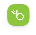 bamboohr.webp